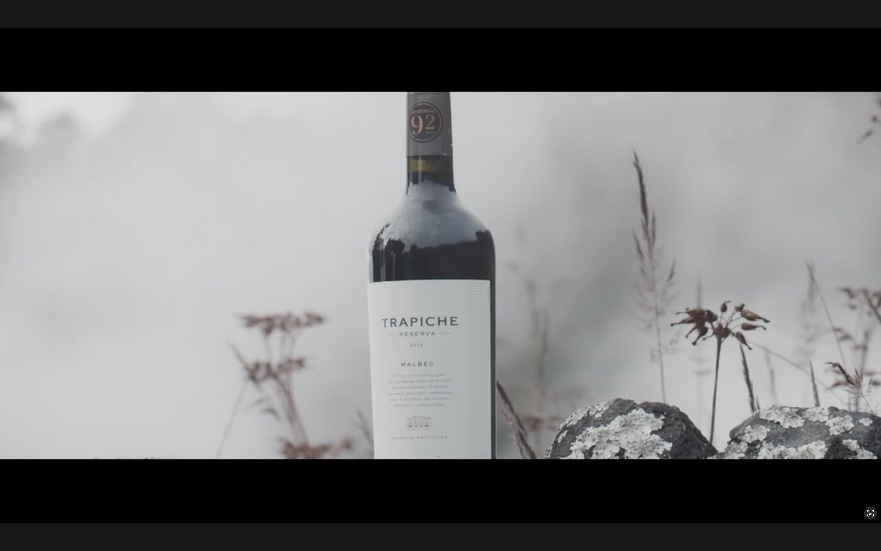 Trapiche